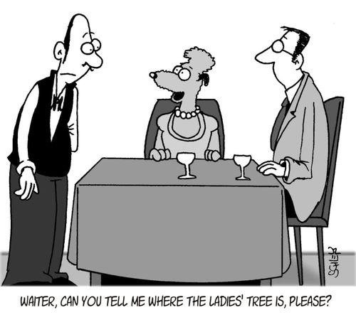 'Waiter, can you tell me where the ladies' tree is, please?'