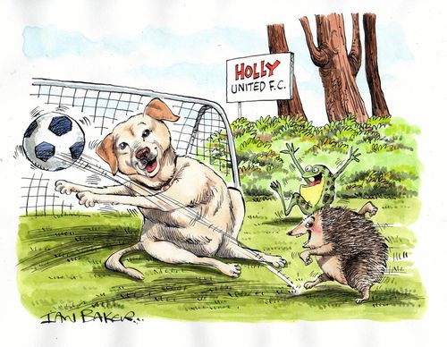 Animals playing football.