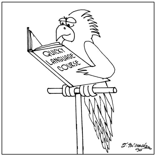 'Quicky Language Course.'