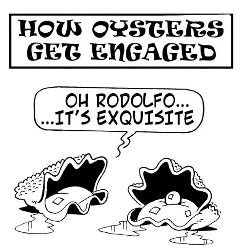 How oysters get engaged: 'Oh Rodolfo...It's exquisite.'