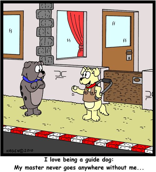 'I love being a guide dog: My master never goes anywhere without me...'