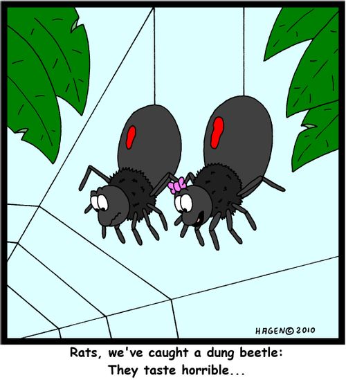 'Rats, we've caught a dung beetle: They taste horrible...'