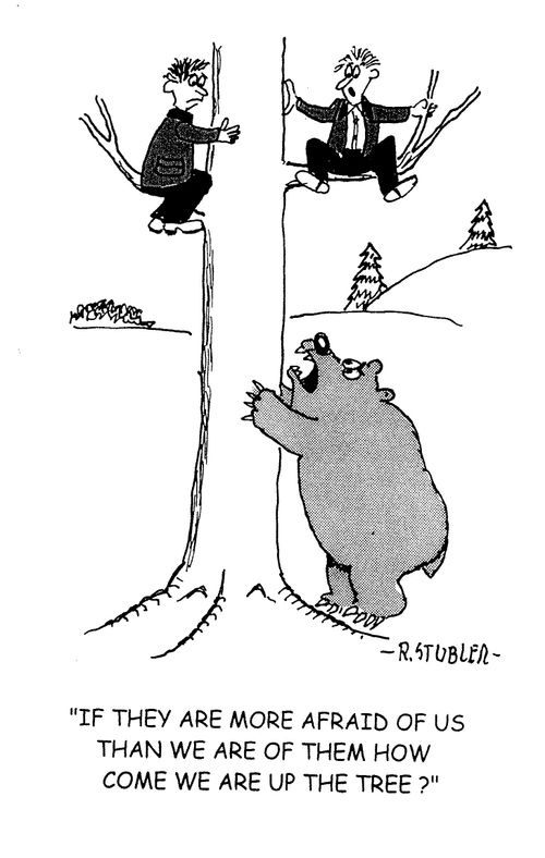 'If they are more afraid of us than we are of them how come we are up the tree?'