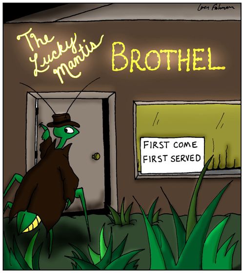 The Lucky Mantis Brothel: First Come, First Served