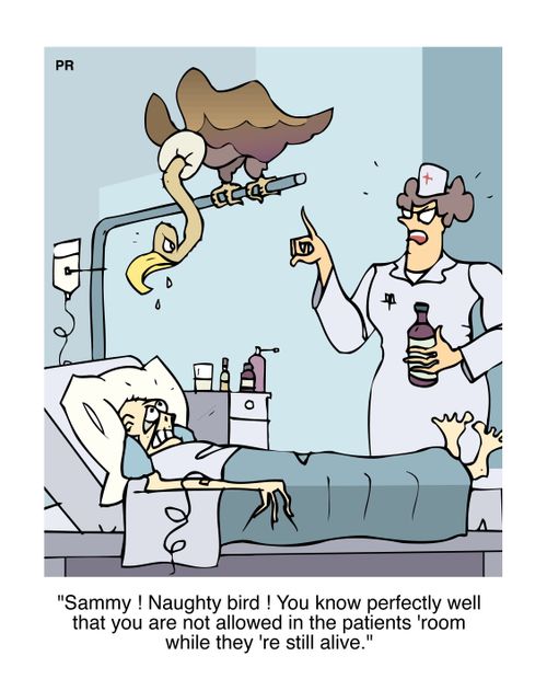 'Sammy! Naughty bird! You know perfectly well that you are not allowed in the patients room while they're still alive.'
