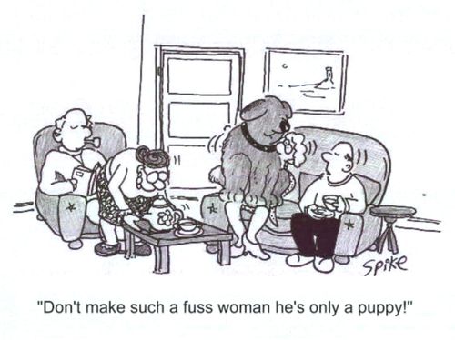 'Don't make such a fuss woman, he's only a puppy!'