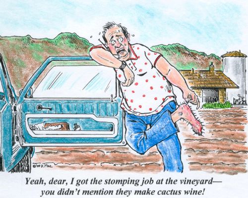 'Yeah, dear, I got the stomping job at the vineyard--you didn't mention they make cactus wine!'