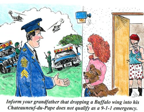 'Inform your grandfather that dropping a Buffalo wing into his Chateauneuf-du-Pape does not qualify as a 9-1-1 emergency.'