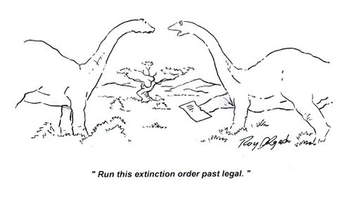 'Run this extinction order past legal.'