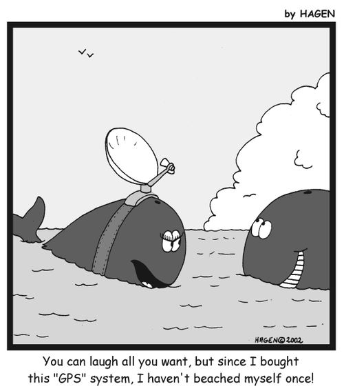 'You can laugh all you want, but since I bought this 'GPS' system, I haven't beached myself once!'