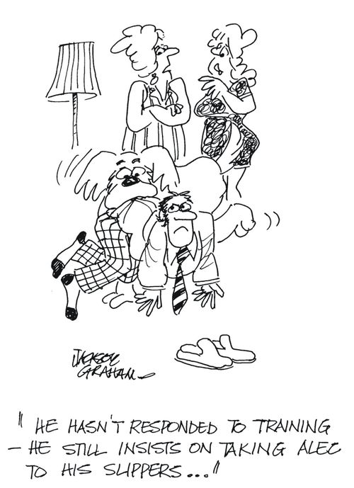 'He hasn't responded to training - he still insists on taking Alec to his slippers....'
