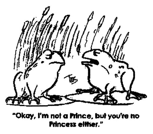 'Okay, I'm not a Prince, but you're no Princess either.'