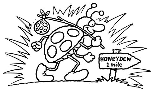 Ladybird travelling to 'Honeydew.'