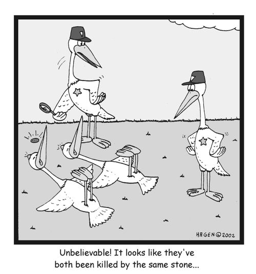"Unbelievable! It looks like they've both been killed by the same stone?"