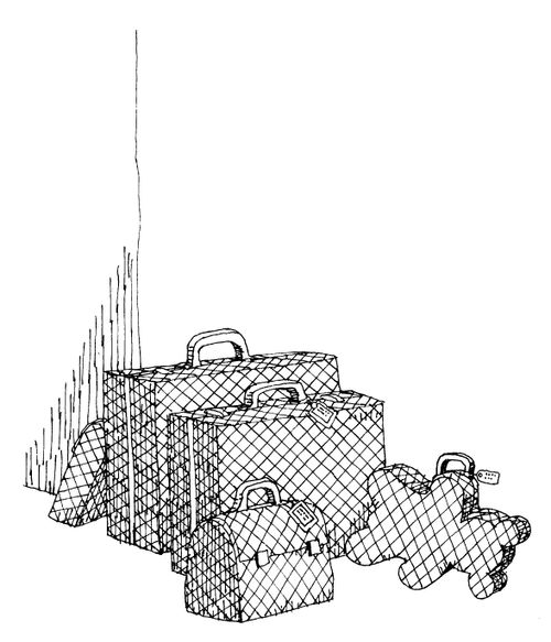 Teddy Bear Luggage