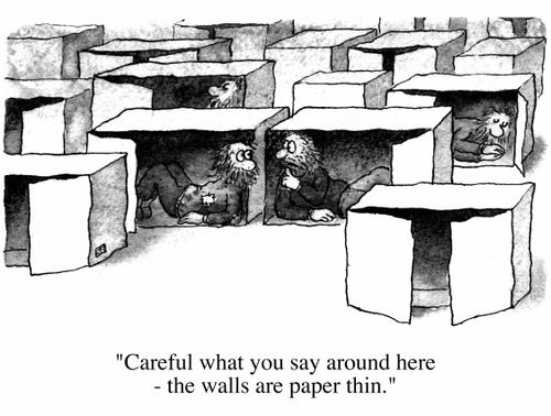 Cardboard city "Careful what you say around here, the walls are paper thin."