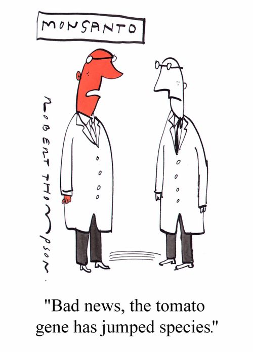 Monsanto - "Bad news, the tomato gene has jumped species"