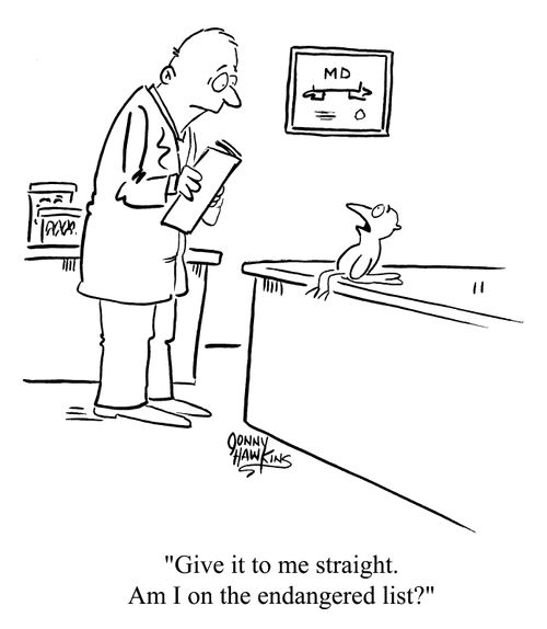"Give it to me straight. Am I on the endangered list?"