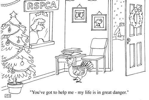 "You've got to help me, my life is in great danger"