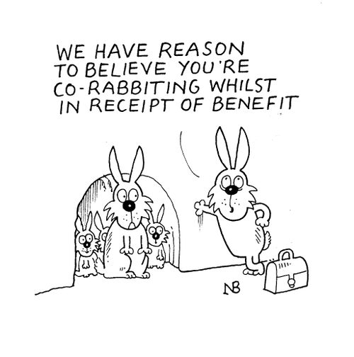"We have reason to believe you're co-rabbiting whilst in receipt of benefit."