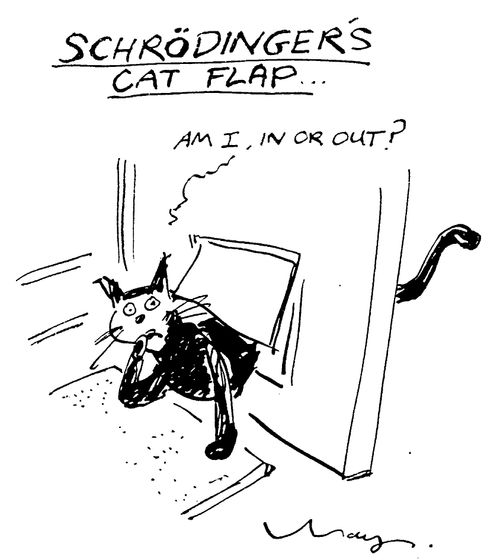 Schrodinger's Cat Flap, "Am I in or out?"