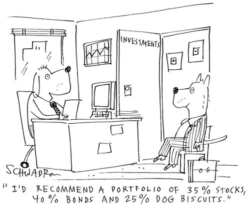 'I'd recommend a portfolio of 35% stocks, 40% bonds and 25% dog biscuits.'