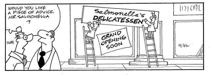 'Would you like a piece of advice, Mr. Salmonella?'