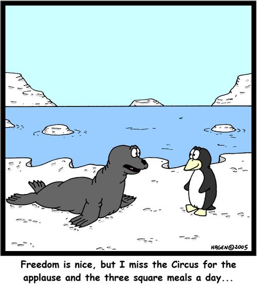 'Freedom is nice, but I miss the Circus for the applause and the three square meals a day...'