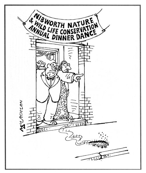Drunk lizard/newt gets thrown out of the 'Nibworth Nature & Wildlife Conservation Annual Dinner Dance'.