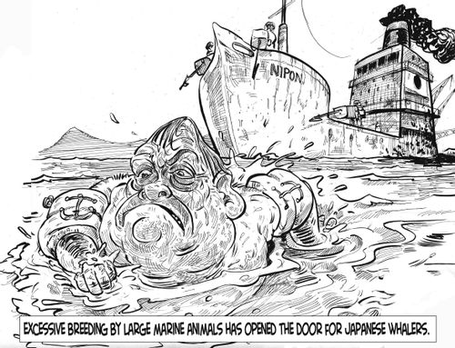 Excessive breeding by large marine animals..
