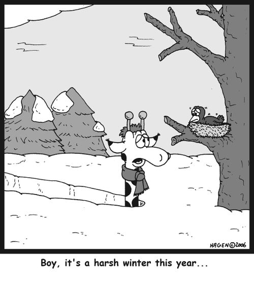 'Boy it's a harsh winter this year...'