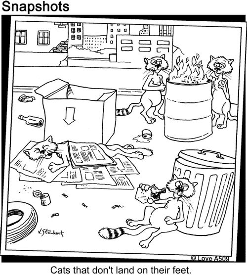 Cats that don't land on their feet.