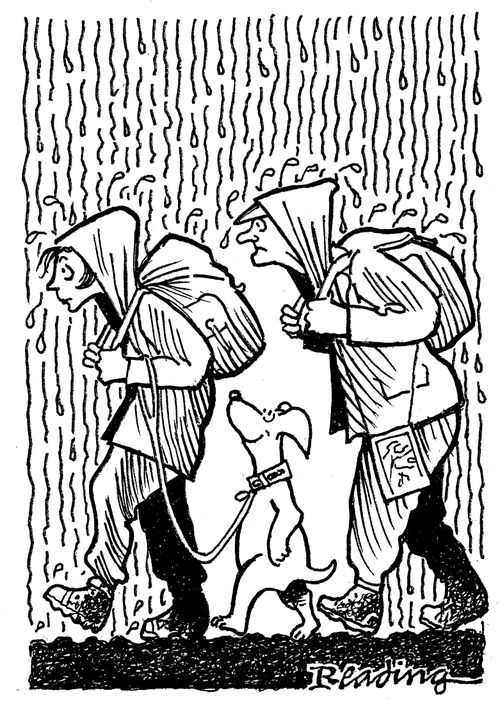 Dog keeping dry, protected by owners.