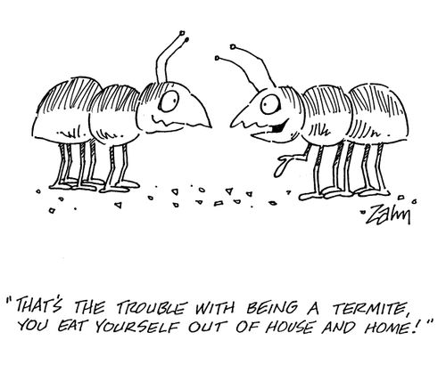 'That's the trouble with being a termite.  You eat yourself out of house and home!'