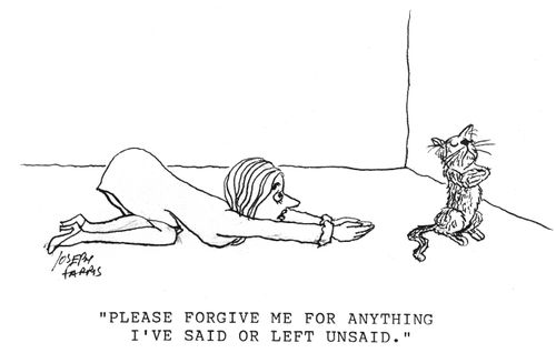 'Please forgive me for anything I've said or left unsaid.'