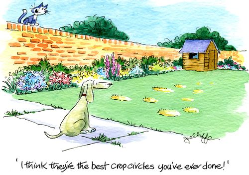 'I think they're the best crop circles you've ever done!'