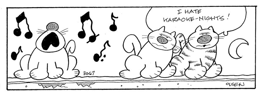 I hate karaoke nights.