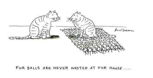 Fur balls are never wasted at our house...