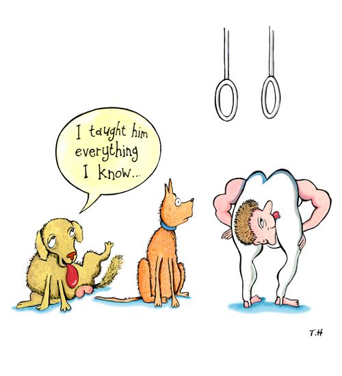 'I taught him everything I know.'