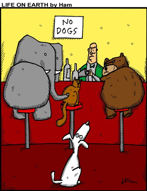 No Dogs.