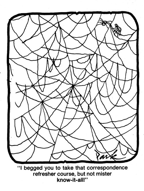 'I begged you to take that correspondence refresher course, but not Mister know it all.'
