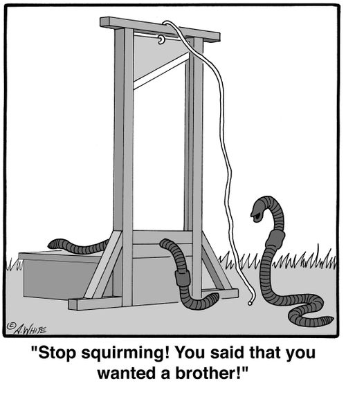 'Stop squirming! You said that you wanted a brother!'
