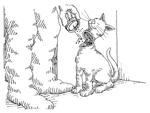 101 uses of a dead cat: ashtray.