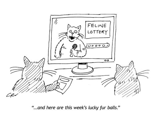'...here are this week's lucky fur balls.'