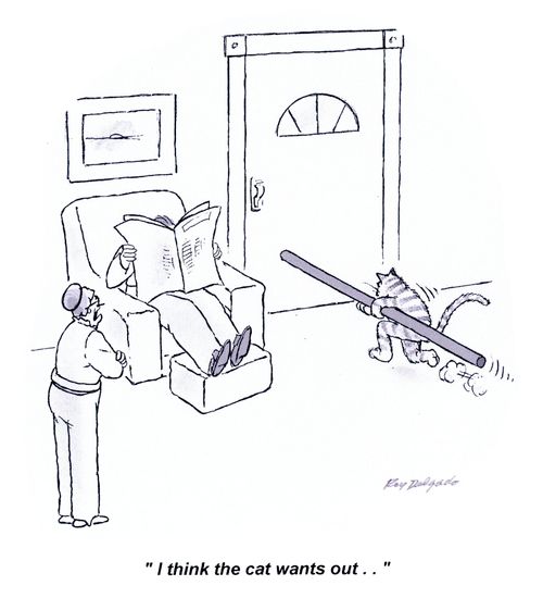 'I think the cat wants out...'