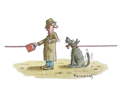 The Dog