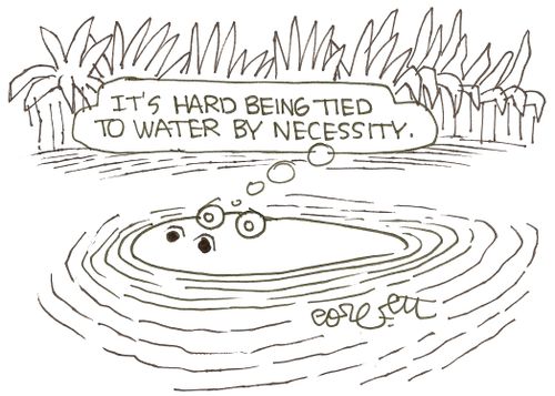 'It's hard to be tied to water by necessity.'