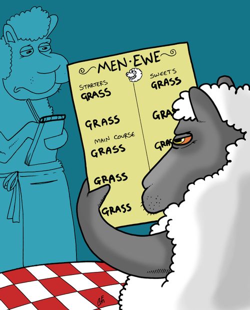 A sheep ordering in a restaurant - the sole item on the menu is grass.
