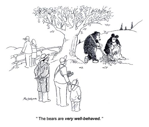 'The bears are very well-behaved.'