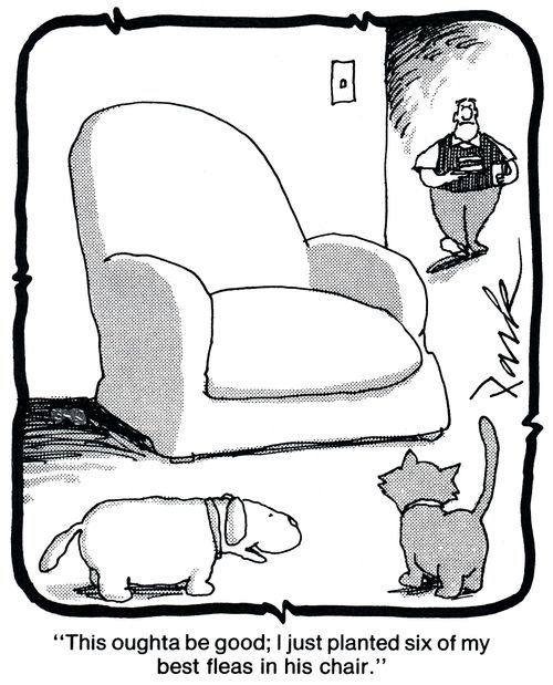 'This oughta be good; I just panted sic of my best fleas in his chair.'